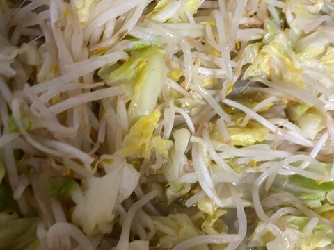 ラーメンや肉料理のトッピング野菜にぜひ